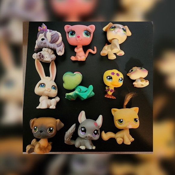 Littlest Pet Shop Authentic Bundle  (10) - Picture 2 of 11